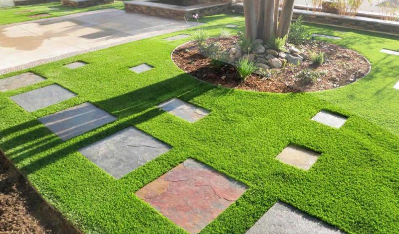 Cỏ nhân tạo DVN Việt Nam
