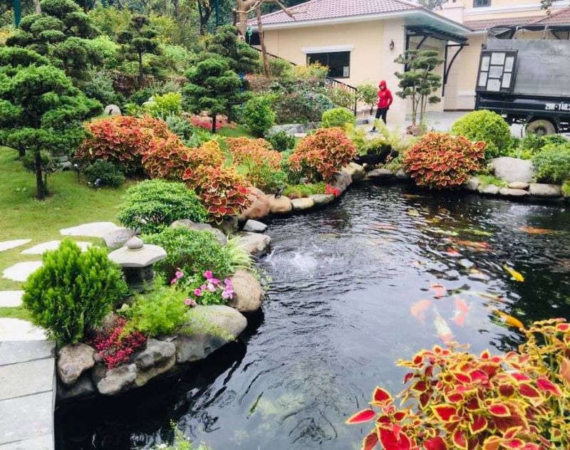 ECO GREEN - Thi Công Hồ Cá - Cảnh Quan Sân Vườ