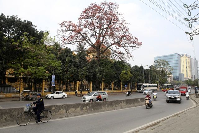 Ảnh minh họa (nguồn internet)