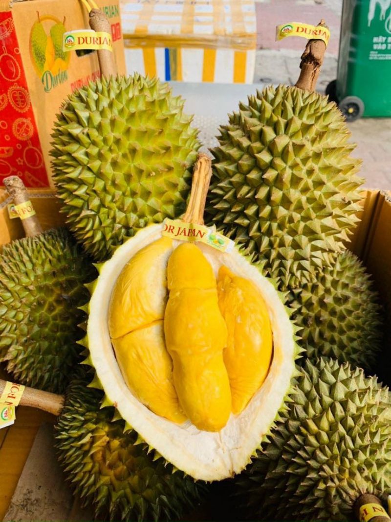 EUS Fruit Quy Nhơn