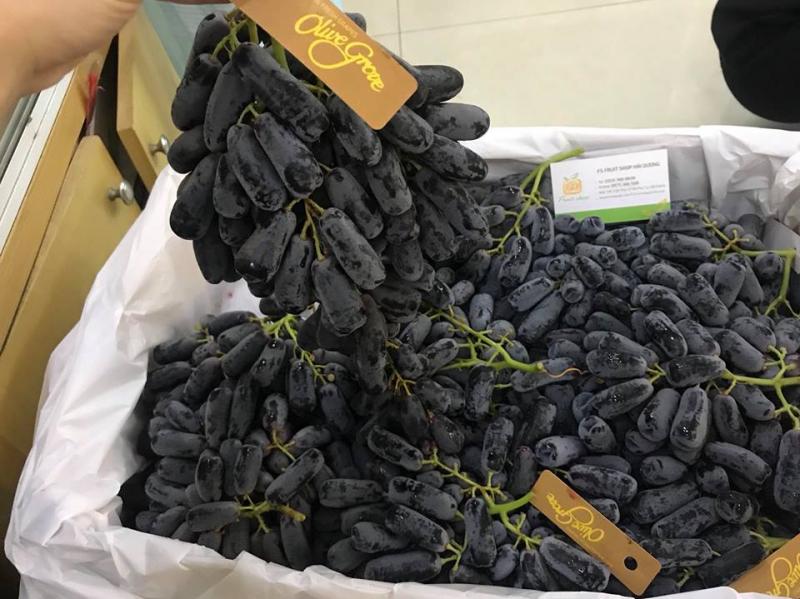 F5 Fruit Shop Hải Dương
