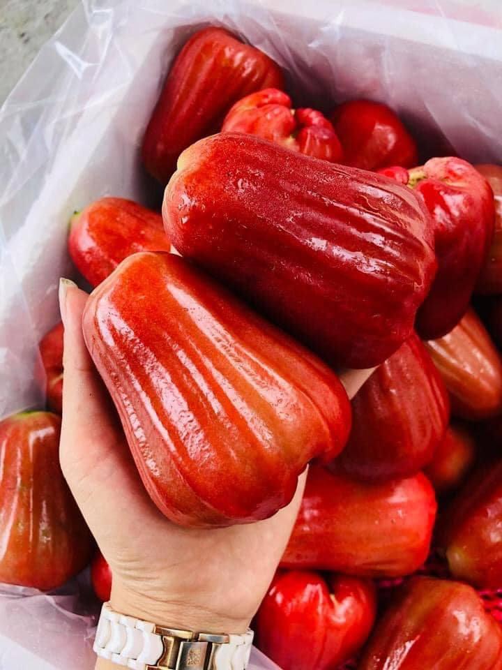 F99 - Trái Cây Nhập Khẩu Hàng Đầu Việt Nam