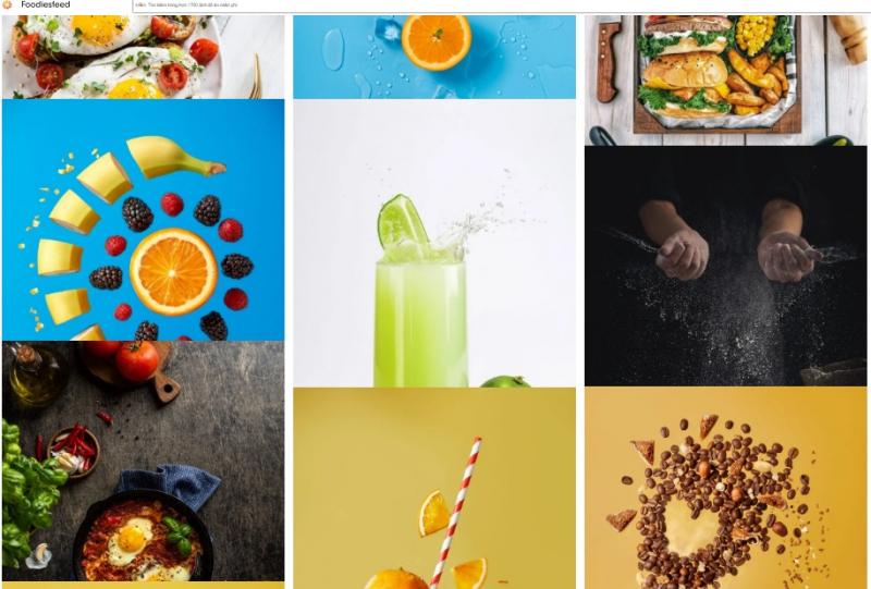 FoodiesFeed