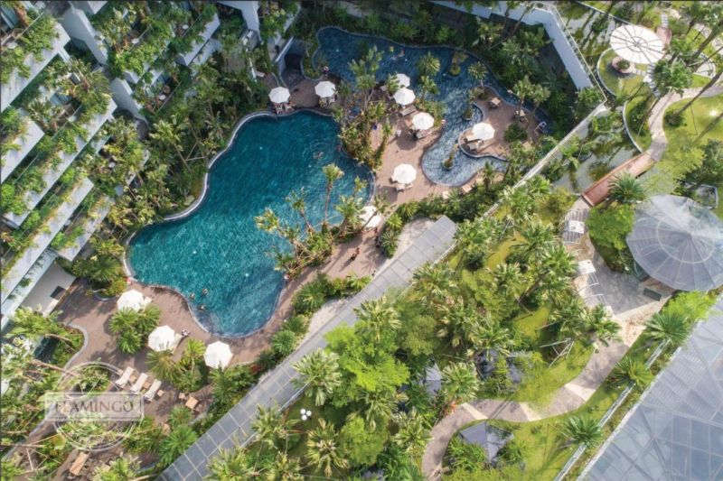 Forest In The Sky Resort