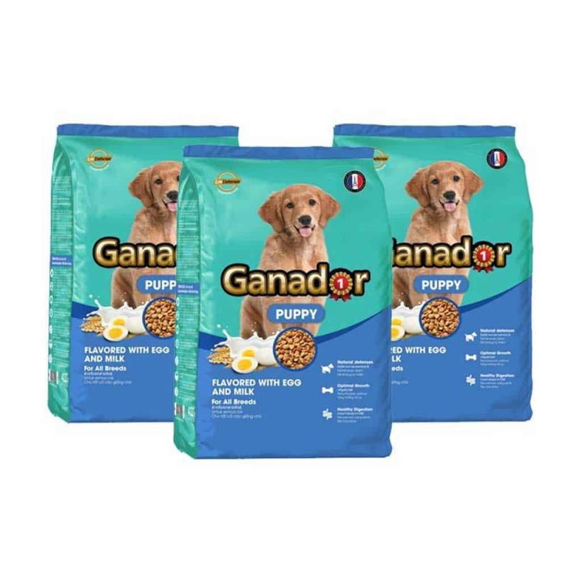 Ganador