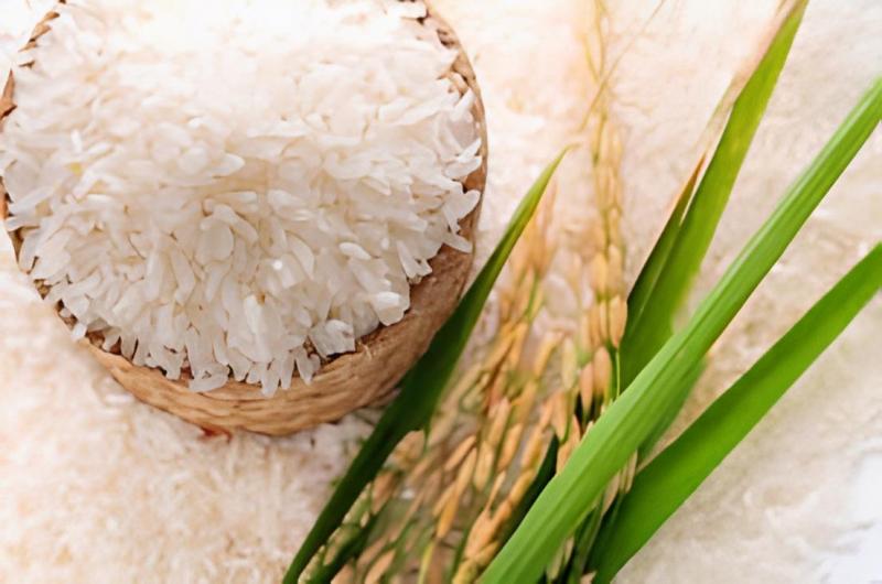 Gạo tám thơm Thái Bình