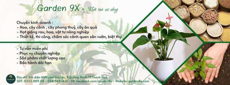 Garden 9x
