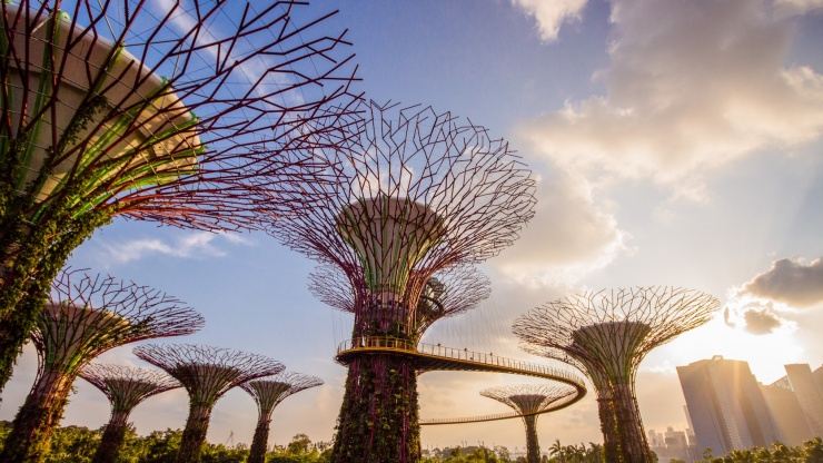 Garden by the bay