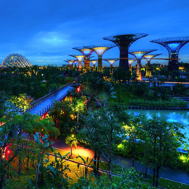 Gardens by the Bay