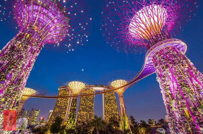 Gardens by the Bay