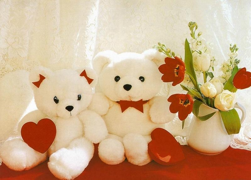 Hãy để cô ấy ôm chặt đôi gấu này vào lòng