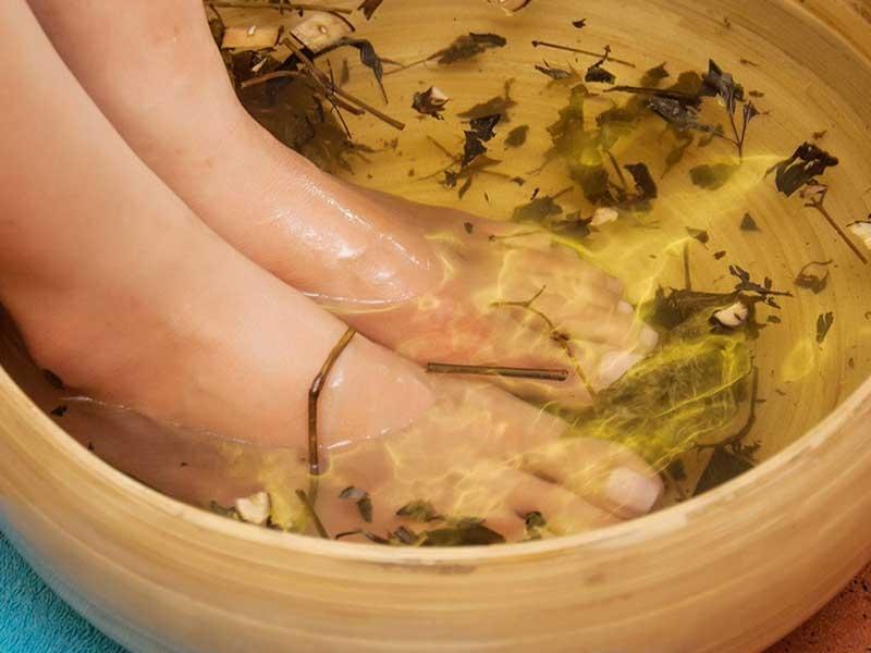 Tía tô giải trừ độc cho cơ thể