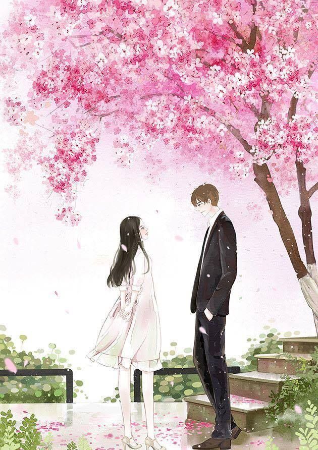 Giọt nước mắt muộn màng - Tử Di