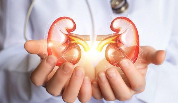 Giữ cho thận khỏe mạnh và ngăn ngừa sỏi thận
