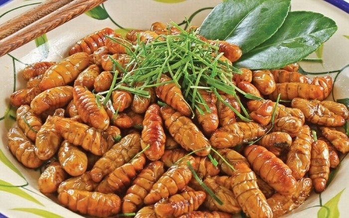Nhộng ong