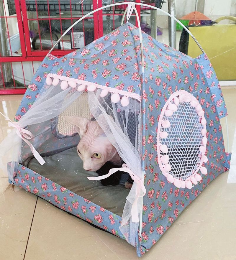 Green Pet Grooming & Shop