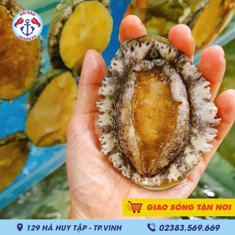 Hải sản Hoàng Sa