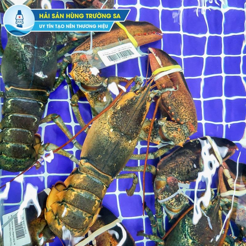 Hải Sản Hùng Trường Sa