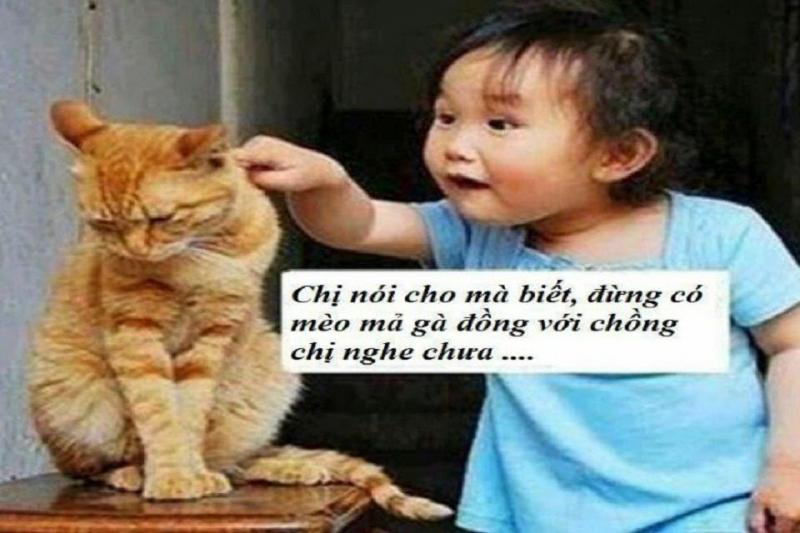Haivn.com