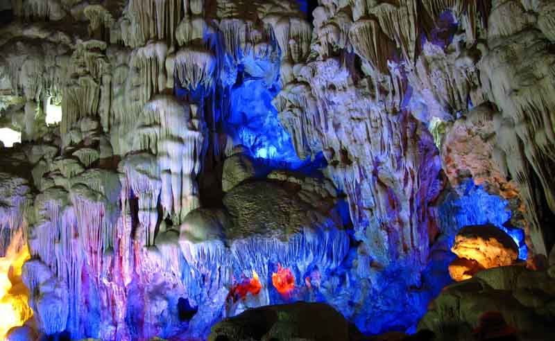 Hang Đầu Gỗ
