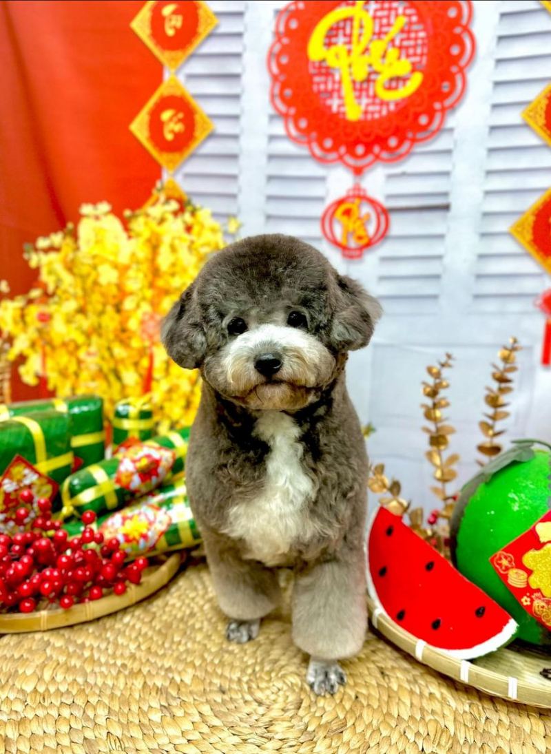 Happy Pet - Thế Giới Thú Cưng