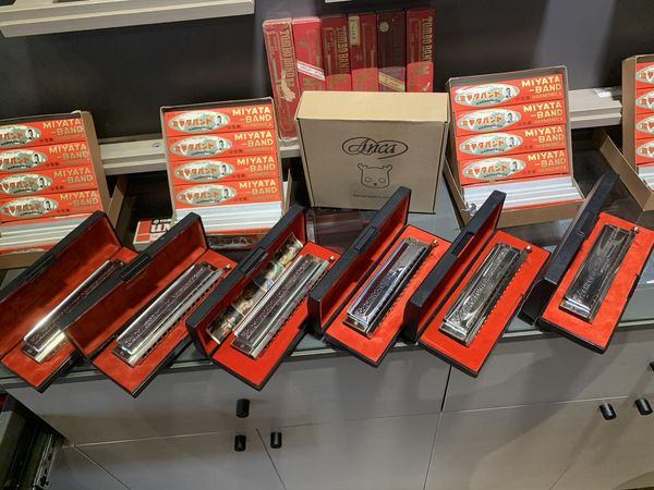Harmonica Vũ Hải Sơn