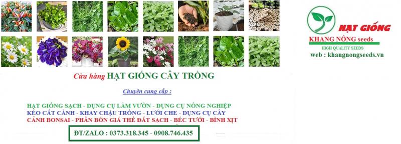 Hạt Giống Cây Trồng Khang Nông