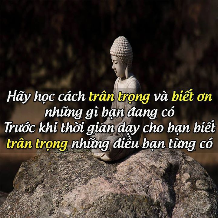 Hãy biết ơn những gì bạn có.