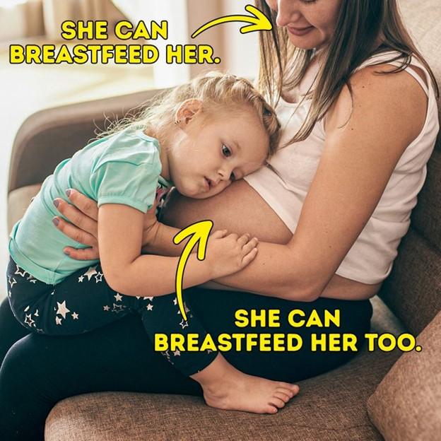 Cai sữa nếu đang mang thai lần nữa