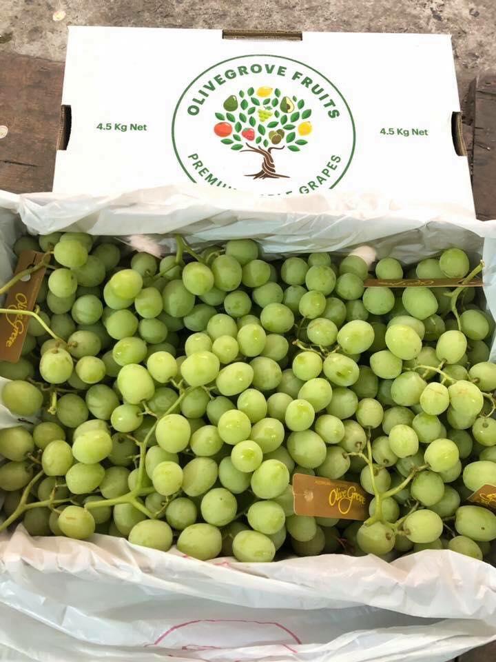 Hệ thống Fuji Fruit - Hoa quả sạch Hải Dương