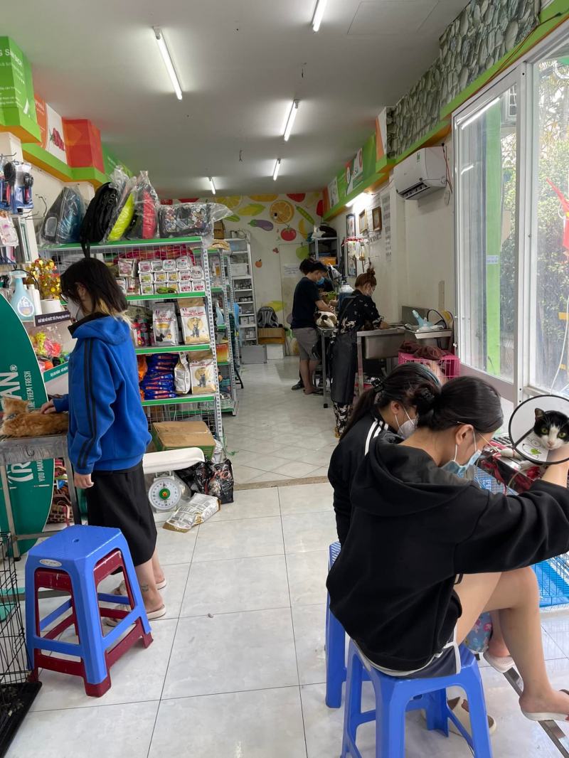 Phòng khám thú y VINPET