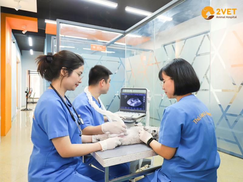 Hệ thống Thú y 2Vet