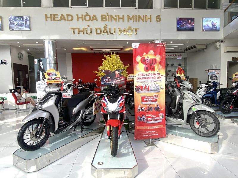 HEAD Hòa Bình Minh 6