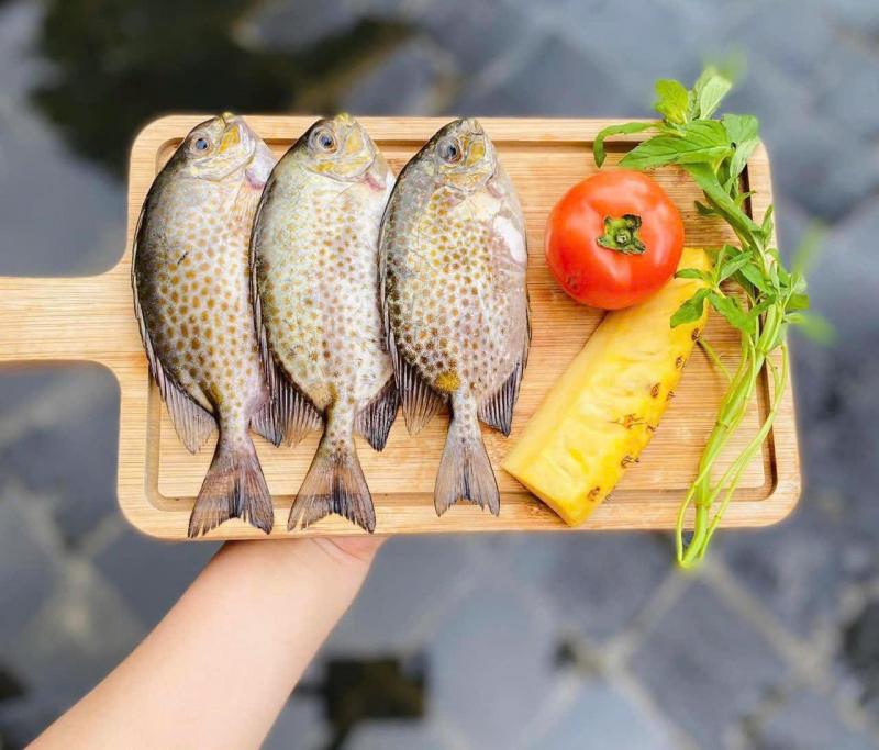 HESA - Thực phẩm sạch tuyển chọn ở Huế