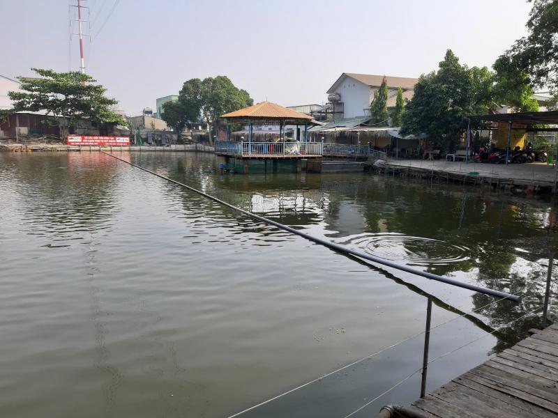 Sau khi câu, bạn có thể yêu cầu đầu bếp nhà hàng chế biến và thưởng thức ngay những món ăn ngon