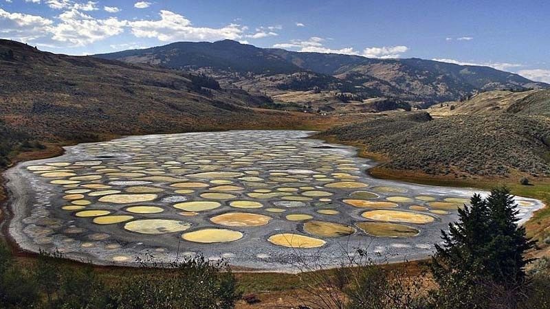 Hồ Spotted còn được người thổ dân tại thung lũng Okanagan đặt cho cái tên là hồ chấm bi