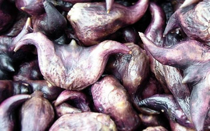 Hỗ trợ bệnh ung thư tử cung và ruột bằng củ ấu