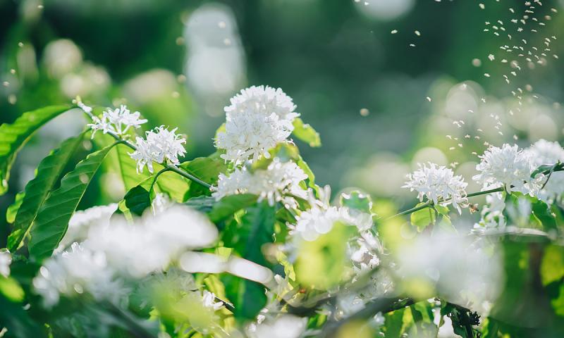 Trích dẫn hay nhất số 4