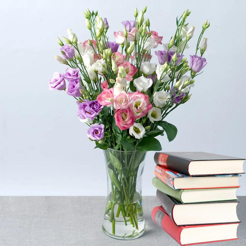 Hoa Cát tường - đem lại sự an khang thịnh vượng, như ý cát tường cho gia chủ suốt cả một năm.