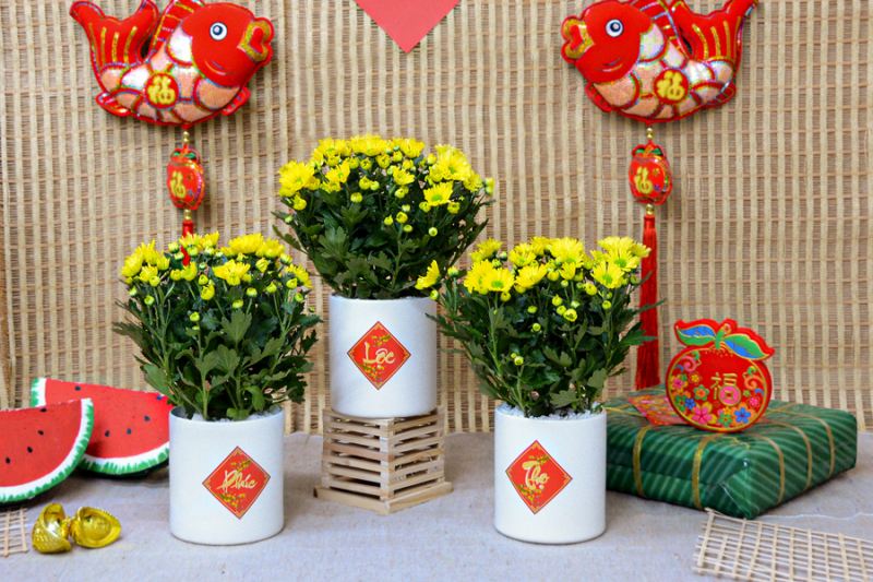Hoa Cúc - biểu trưng cho tình mẫu tử thiêng liêng, ước nguyện phụ mẫu sống lâu cùng con cháu.