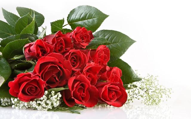 Màu đỏ cho cảm giác ấm áp của tình bạn và sự lạc quan.