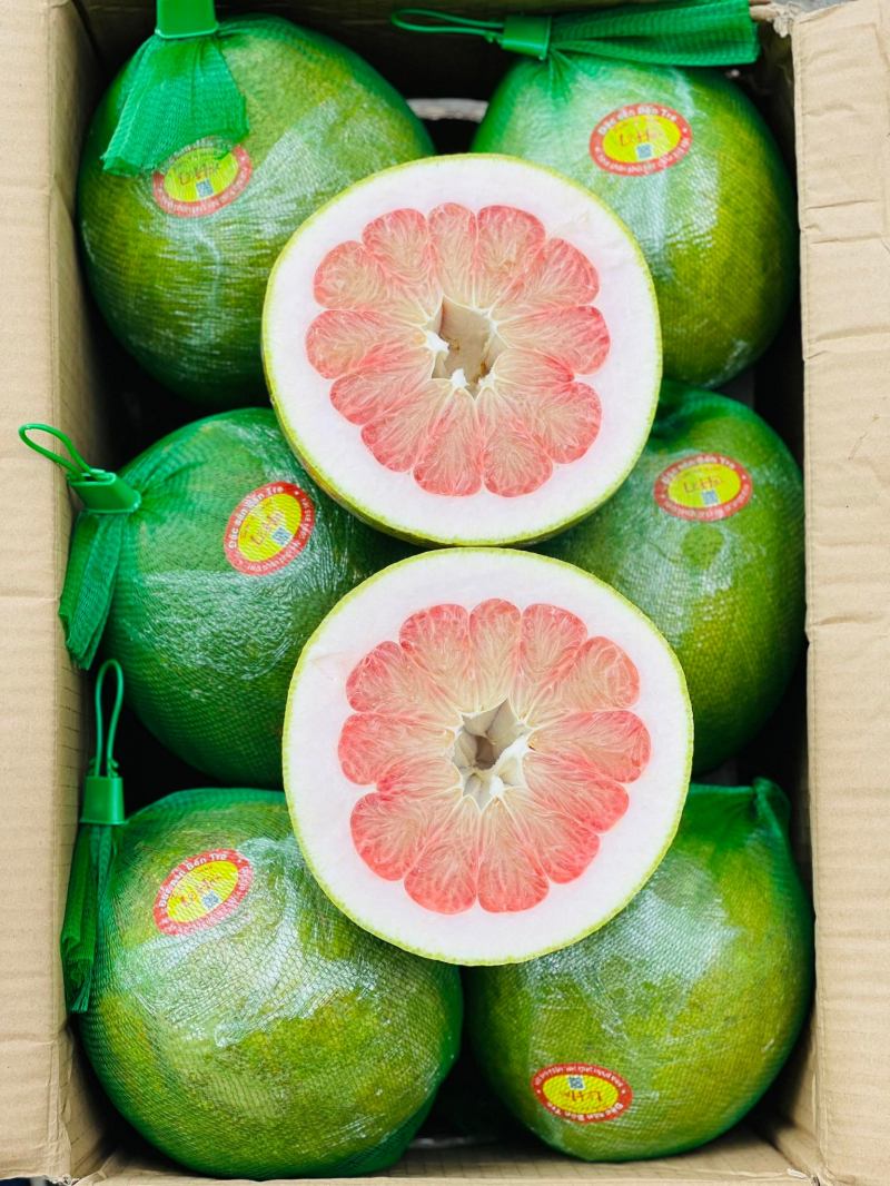 Hoa Quả Ưu Đàm