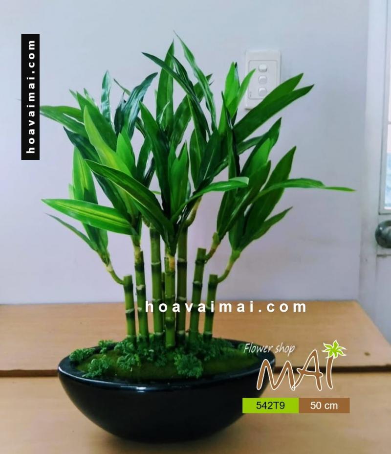 Hoa Vải Đẹp Mai