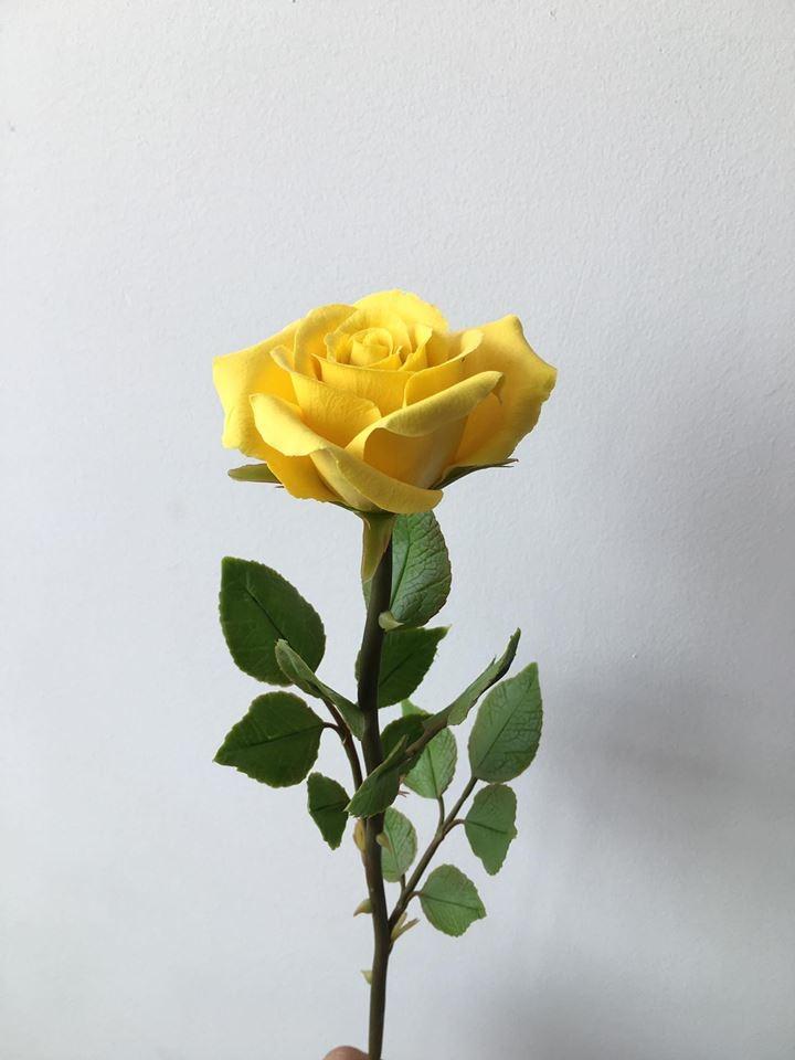 Sản phẩm khi đã hoàn thành