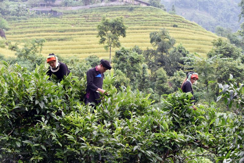 Cuộc sống của người dân phụ thuộc nhiều vào điều kiện thời tiết và thổ nhưỡng nên còn nhiều khó khăn