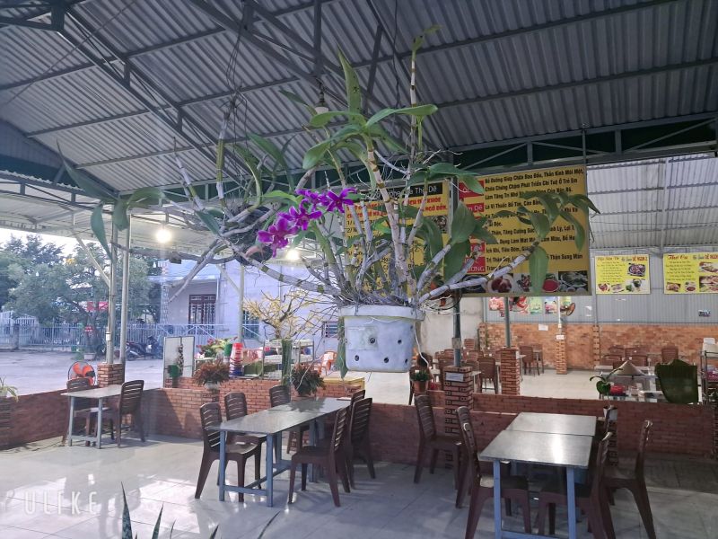 Hội Quán Dê Ngon