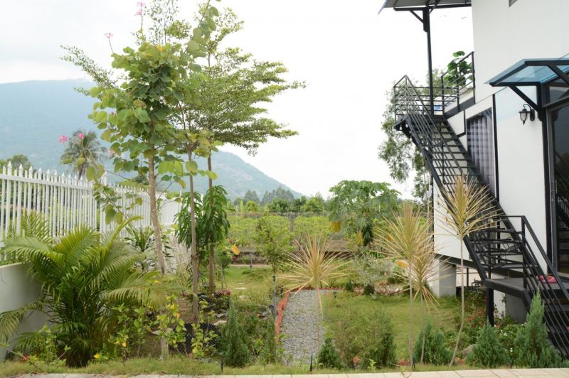 Homestay Núi Bà Đen Lily