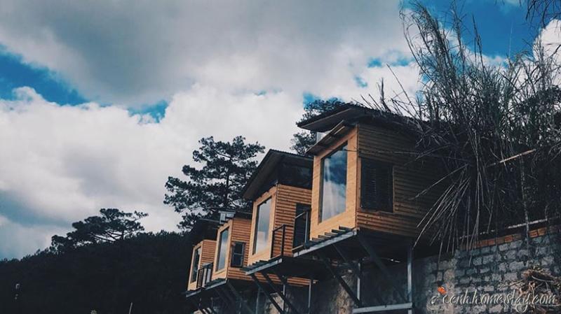 Homestay Reply 1994