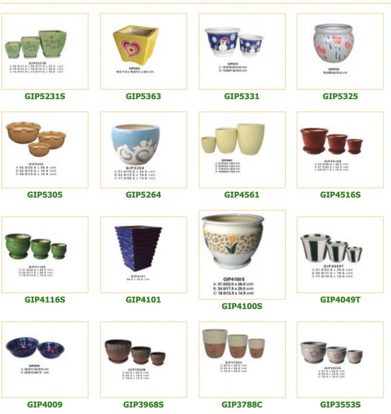 HỢP TÁC XÃ THÁI DƯƠNG