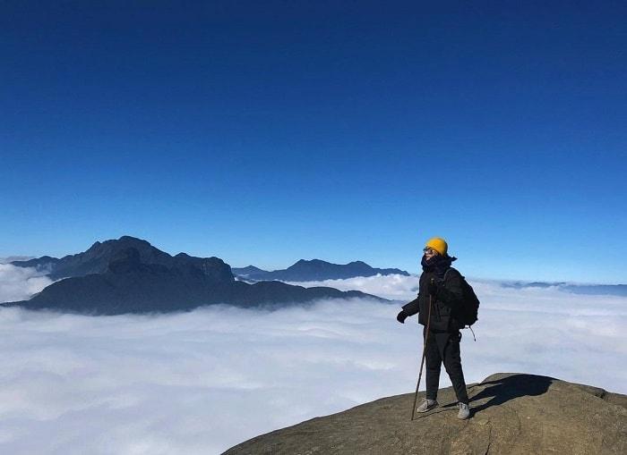 Công Ty TNHH Việt Up Travel